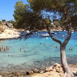 El Auge del Transporte Privado en Mallorca: Cómo los Transfers Profesionales Están Revolucionando la Experiencia Turística