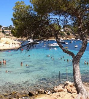 Playa-de-Portals-Vells-Mallorca-Islas-Baleares | Upitravel El Auge del Transporte Privado en Mallorca: Cómo los Transfers Profesionales Están Revolucionando la Experiencia Turística