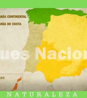 Aventuras-en-Parques-Nacionales-Descubre-la-Fauna-y-Flora-Autoctona | Upitravel