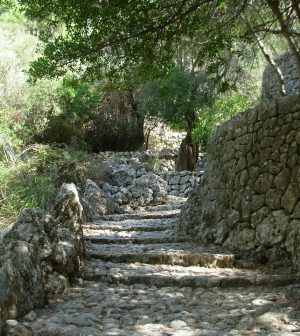 espacio rústico e histórico en mallorca - IP | Upitravel