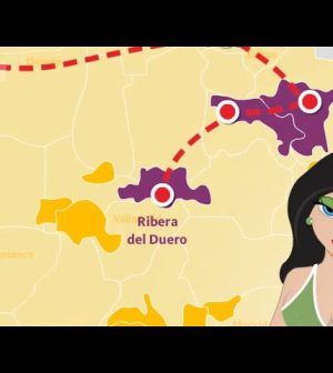 Caminos-del-Vino-Rutas-de-Cata-por-Regiones-Vinicolas | Upitravel