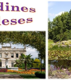 Descubriendo-la-Magia-de-los-Jardines-Ingleses-Elegancia-Verde | Upitravel