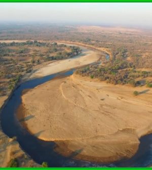 Destinos-para-Observar-Ciervos-Encuentros-con-la-Fauna-Silvestre | Upitravel