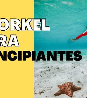 Destinos-para-Practicar-Esnorquel-Descubre-los-Secretos-del-Submarino | Upitravel