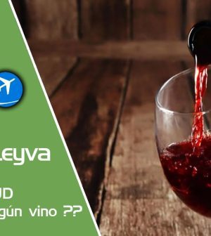 Turismo-de-Negocios-en-Destinos-Vinicolas-Encuentros-Empresariales-entre-Vinedos | Upitravel