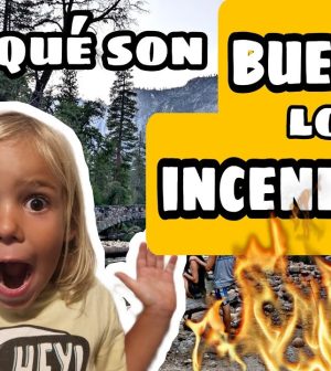 Viaje-en-Autocaravana-Explorando-Parques-Nacionales | Upitravel