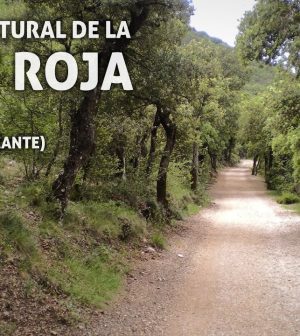 visitar-Ibi | Upitravel