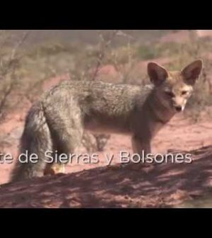 Caminos-de-los-Parques-Nacionales-Explorando-la-Diversidad-Biologica | Upitravel