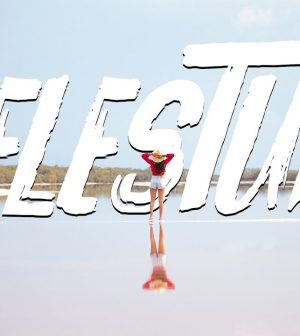 Destinos-para-Observar-Flamencos-Rosados-Encuentros-en-Salinas | Upitravel