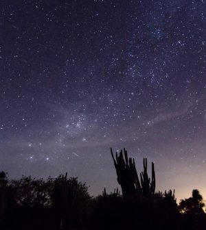 Experiencias-de-Astronomia-Noches-Estrelladas-en-Desiertos-Oscuros | Upitravel