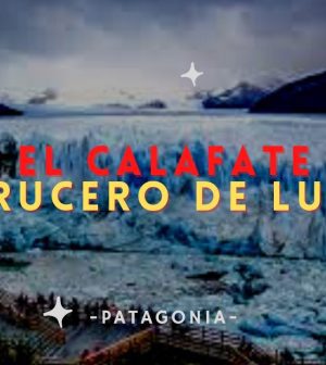Viaje-en-Barco-de-Expedicion-Navegando-hacia-Glaciares-Imponentes | Upitravel