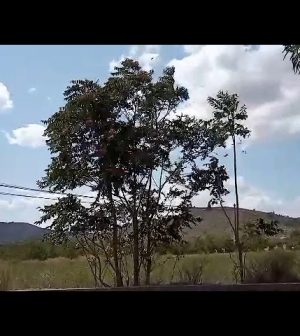 alojamientos-turisticos-en-Fondo-de-les-Neus | Upitravel