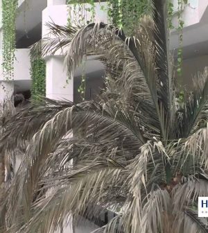 hoteles-en-Zurgena | Upitravel