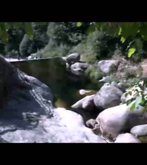 alojamientos-turisticos-en-Bonilla-de-la-Sierra | Upitravel alojamientos turísticos en Bonilla de la Sierra