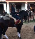La Feria de Pentecostés en Huelva: Caballos y Flamenco en España