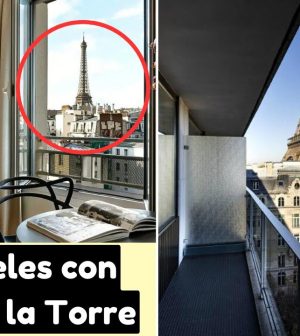 hoteles en 	Torre