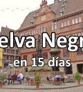 visitar Selva