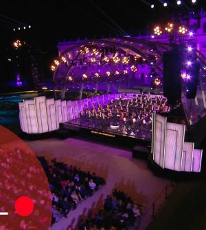 El Festival de la Música en Viena: Conciertos y Celebración en Austria