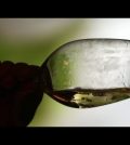 La Fiesta de la Vendimia en Oporto: Vino y Cultura en Portugal
