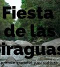 La Fiesta de las Piraguas en Senegal: Competencia y Cultura