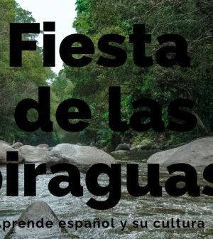 La-Fiesta-de-las-Piraguas-en-Senegal-Competencia-y-Cultura | Upitravel La Fiesta de las Piraguas en Senegal: Competencia y Cultura