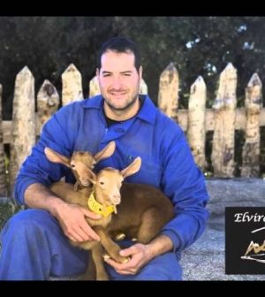 alojamientos turísticos en 	Navaluenga