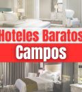 hoteles en Campos