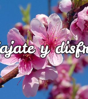 hoteles-en-Pueblonuevo-del-Guadiana | Upitravel hoteles en Pueblonuevo del Guadiana