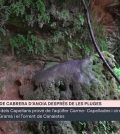 visitar Cabrera d'Anoia