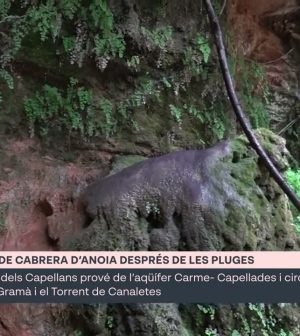 visitar-Cabrera-dAnoia | Upitravel visitar Cabrera d'Anoia