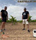 visitar 	Castellví de la Marca