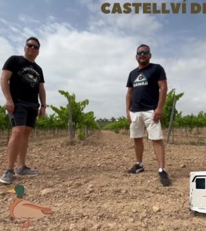 visitar-Castellvi-de-la-Marca | Upitravel visitar Castellví de la Marca