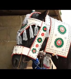 El Festival de Durbar en Nigeria: Caballos y Realeza
