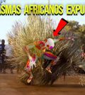 El Festival de las Máscaras en Togo: Espíritu y Cultura
