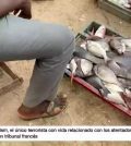 La Fiesta de los Pescadores en Senegal: Competencia y Comunidad