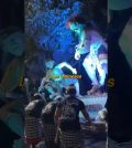 La Fiesta del Nyepi en Sudáfrica: Año Nuevo Balinés en África