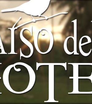 alojamientos turísticos en 	Atalaya