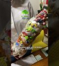 alojamientos turísticos en Barcarrota