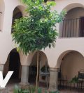 alojamientos turísticos en 	Cabeza del Buey