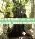 alojamientos turísticos en Tiemblo