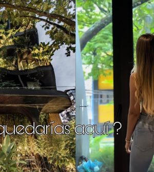 hoteles-en-Selva | Upitravel hoteles en 	Selva