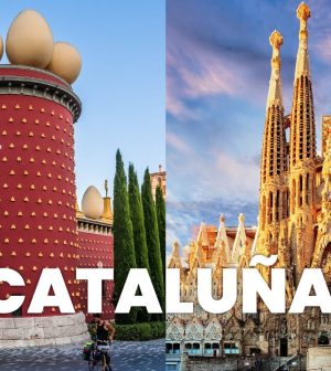 visitar-Puigdalber | Upitravel visitar Puigdàlber