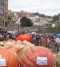 visitar Sant Feliu de Codines