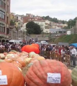 visitar-Sant-Feliu-de-Codines | Upitravel visitar Sant Feliu de Codines