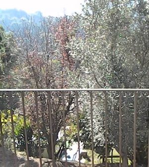 visitar-Sant-Fost-de-Campsentelles | Upitravel visitar Sant Fost de Campsentelles