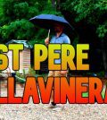 visitar 	Sant Pere Sallavinera