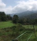 visitar 	Santa Maria de Besora