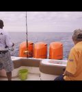 La Fiesta de los Pescadores en Angola: Competencia y Comunidad