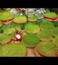 Nowruz: El Año Nuevo Persa en Irán
