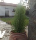alojamientos turísticos en 	Llerena
